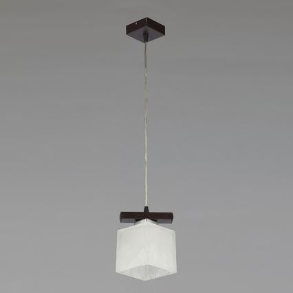 Jupiter 1096 - PO1 - Lustre suspension POLA 1xE27/60W/230V