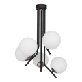 Jupiter 1737 - Lampadario a sospensione con supporto rigido TIM 5xE14/40W/230V cromo lucido
