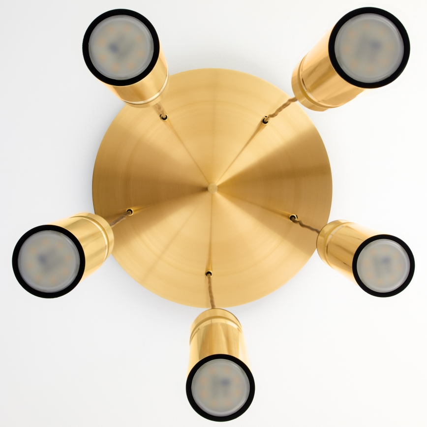 Jupiter 2020 - Lampadario a sospensione con filo ALAS 5xGU10/10W/230V oro