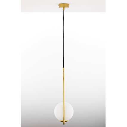 Jupiter 2042 - Lampadario a sospensione con filo IGON 1xE14/40W/230V oro