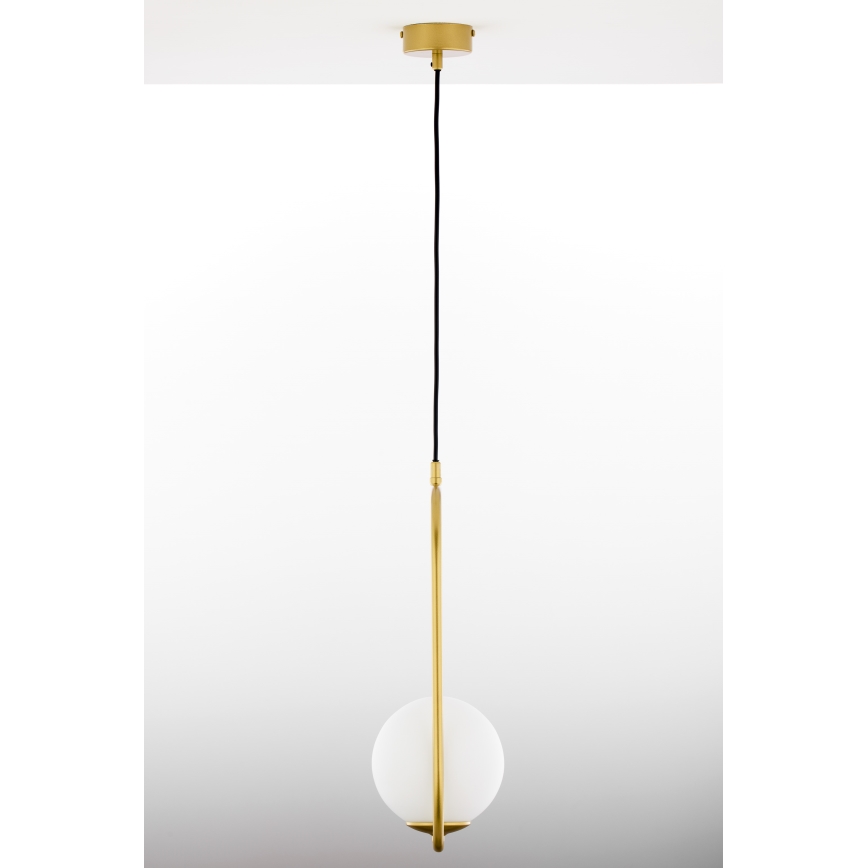 Jupiter 2042 - Lampadario a sospensione con filo IGON 1xE14/40W/230V oro