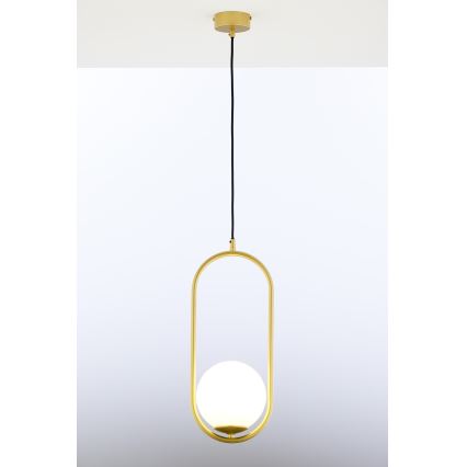 Jupiter 2042 - Lampadario a sospensione con filo IGON 1xE14/40W/230V oro