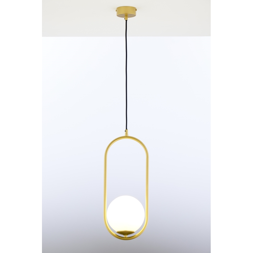 Jupiter 2042 - Lampadario a sospensione con filo IGON 1xE14/40W/230V oro