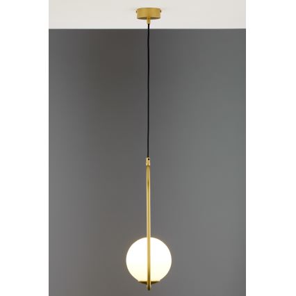 Jupiter 2042 - Lampadario a sospensione con filo IGON 1xE14/40W/230V oro