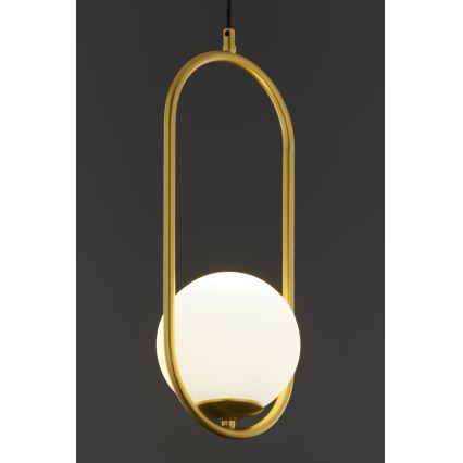 Jupiter 2042 - Lampadario a sospensione con filo IGON 1xE14/40W/230V oro