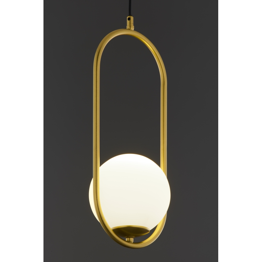 Jupiter 2042 - Lampadario a sospensione con filo IGON 1xE14/40W/230V oro