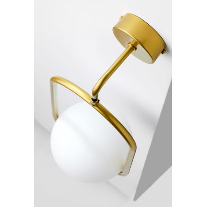 Jupiter 2043 - Applique IGON 1xE14/40W/230V oro