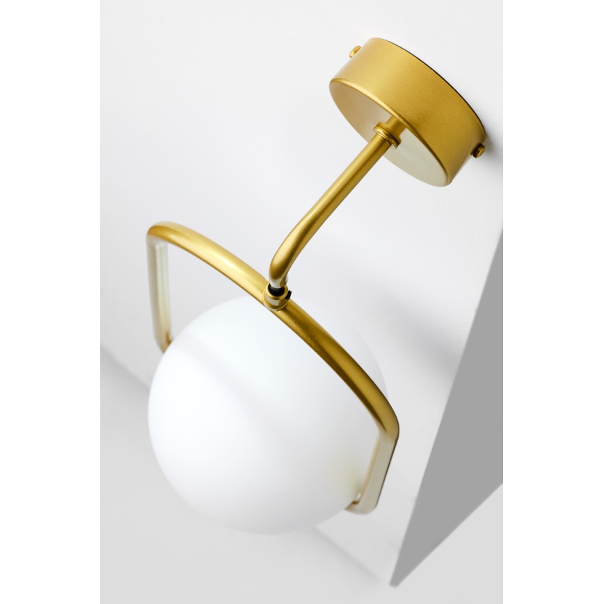 Jupiter 2043 - Applique IGON 1xE14/40W/230V oro