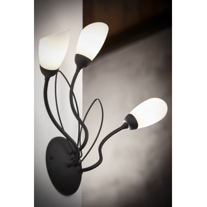 Jupiter 2059 - Applique murale GLORIOSA 3xG9/14W/230V noire