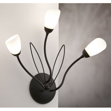 Jupiter 2059 - Applique murale GLORIOSA 3xG9/14W/230V noire