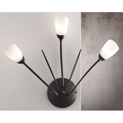 Jupiter 2059 - Applique murale GLORIOSA 3xG9/14W/230V noire