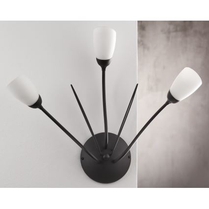 Jupiter 2059 - Lampada da parete GLORIOSA 3xG9/14W/230V nera