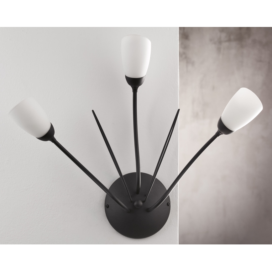 Jupiter 2059 - Lampada da parete GLORIOSA 3xG9/14W/230V nera