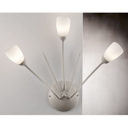 Jupiter 2064 - Applique murale GLORIOSA 3xG9/14W/230V crème