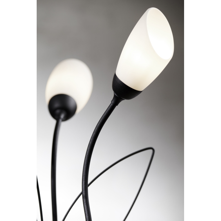 Jupiter 2065 - Lampe de table GLORIOSA 3xG9/14W/230V noire