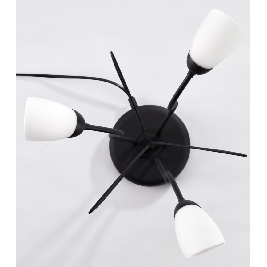 Jupiter 2065 - Tischleuchte GLORIOSA 3xG9/14W/230V schwarz