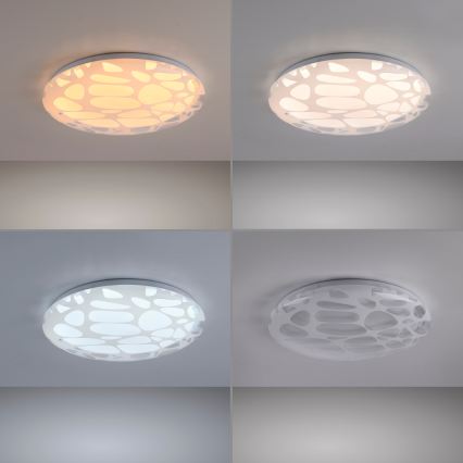 JUST LIGHT. 14009-16 - LED-dimmbare Deckenleuchte ART PLAFO LED/20W/230V 2700-6500K Ø 38 cm weiß + Fernbedienung