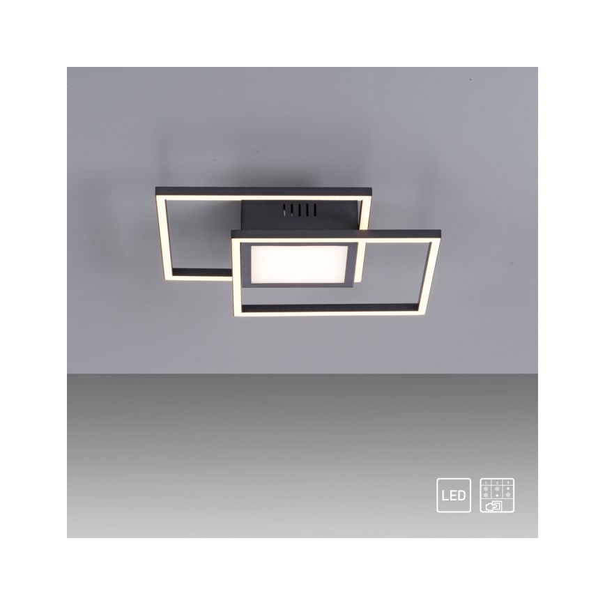JUST LIGHT. 14144-18 - Plafoniera LED ASMIN LED/26W/230V
