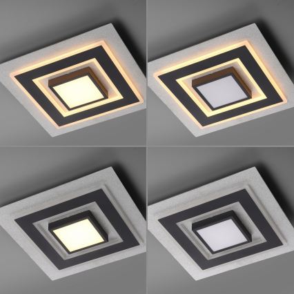 JUST LIGHT. 14439-21 - Plafoniera LED CICHIO LED/18,5W/230V + LED/9W 40x40 cm nero