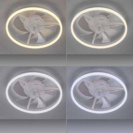 JUST LIGHT. 14624-16 - LED-dimmbarer Deckenventilator mit Licht RITA LED/22W/230V 3000-6000K Ø 50 cm weiß + Fernbedienung
