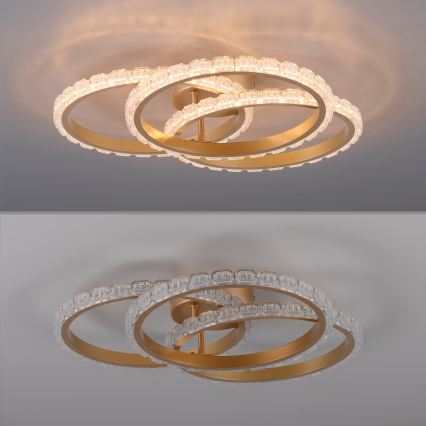 JUST LIGHT. 14734-60 - LED-Deckenleuchte GLITRA LED/37W/230V Ø 50 cm goldfarben