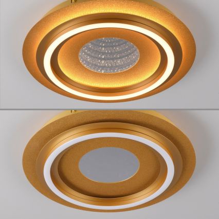 JUST LIGHT. 15089-60 - LED-Deckenleuchte CICHIO LED/36W/230V Ø 40 cm goldfarben