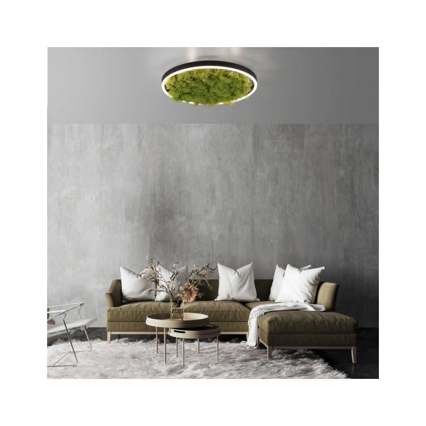 JUST LIGHT. 15391-66 - Dimmbare LED-Deckenleuchte GRÜN RITU LED/20W/230V