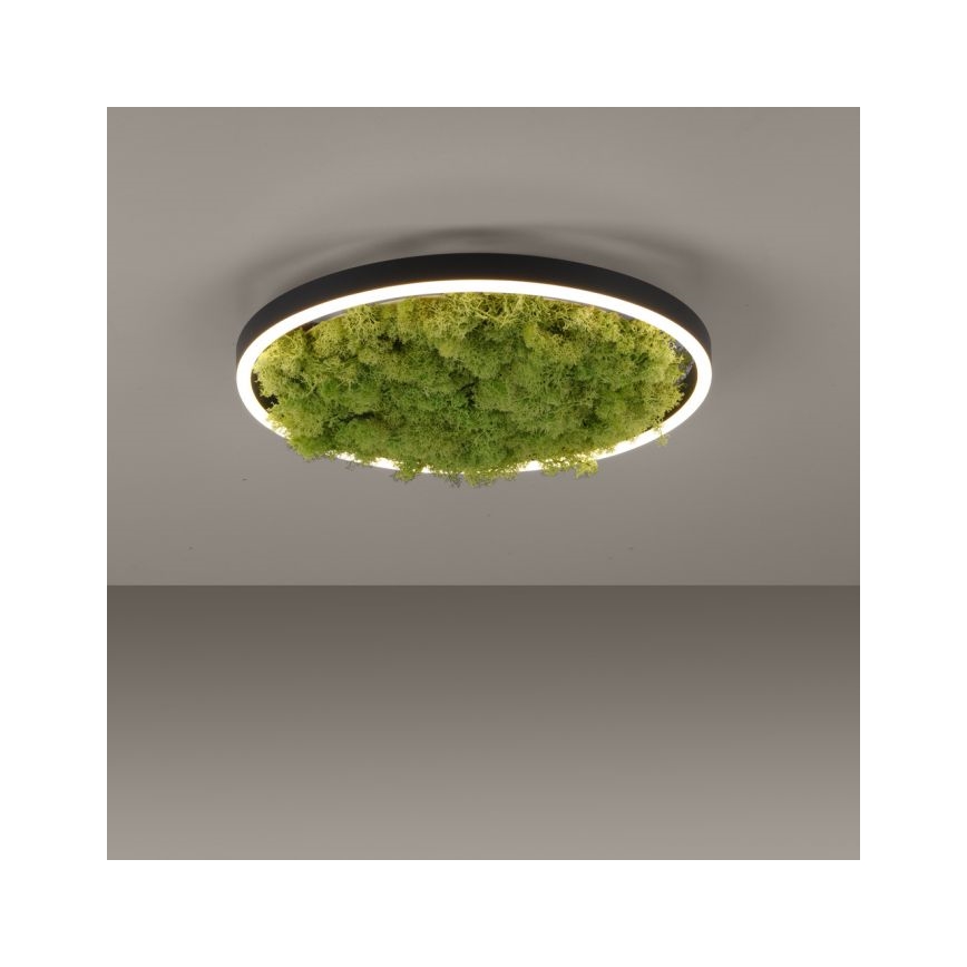 JUST LIGHT. 15391-66 - Dimmbare LED-Deckenleuchte GRÜN RITU LED/20W/230V