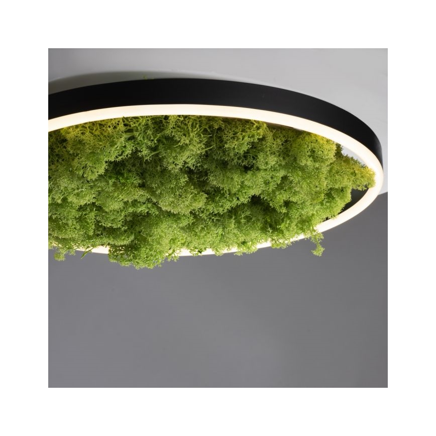 JUST LIGHT. 15391-66 - Dimmbare LED-Deckenleuchte GRÜN RITU LED/20W/230V