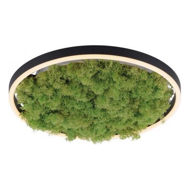 JUST LIGHT. 15391-66 - Plafoniera LED dimmerabile VERDE RITU LED/20W/230V