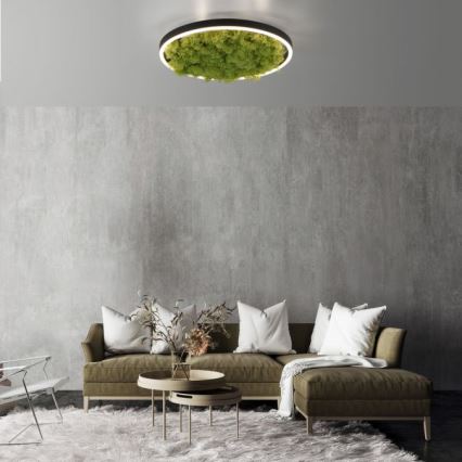 JUST LIGHT. 15391-66 - Plafoniera LED dimmerabile VERDE RITU LED/20W/230V