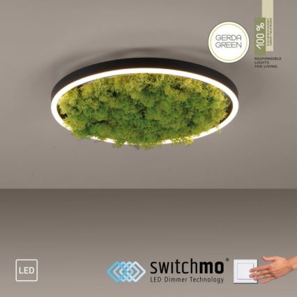 JUST LIGHT. 15391-66 - Plafoniera LED dimmerabile VERDE RITU LED/20W/230V