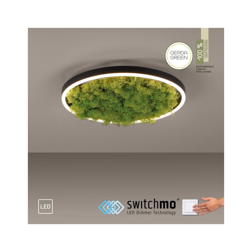 JUST LIGHT. 15391-66 - Plafoniera LED dimmerabile VERDE RITU LED/20W/230V