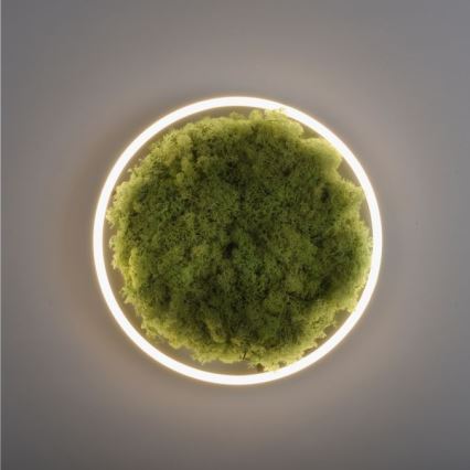 JUST LIGHT. 15391-66 - Plafoniera LED dimmerabile VERDE RITU LED/20W/230V