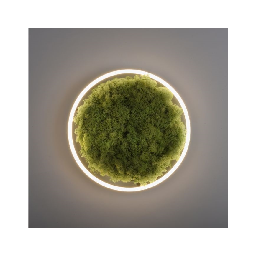 JUST LIGHT. 15391-66 - Plafoniera LED dimmerabile VERDE RITU LED/20W/230V