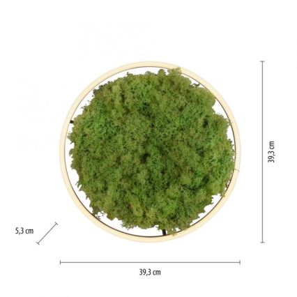 JUST LIGHT. 15391-66 - Plafoniera LED dimmerabile VERDE RITU LED/20W/230V
