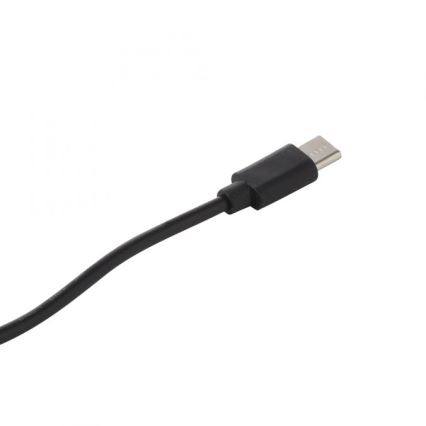 JUST LIGHT. 19260-18 - Lampe d'extérieur à intensité variable ABERA LED/3W/3,7V 2000 mAh USB IP54 noir