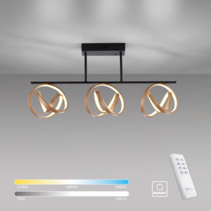 JUST LIGHT. 6245-18 - Plafonnier à intensité variable LOOP 3xLED/11W/230V 2700-5000K + télécommande