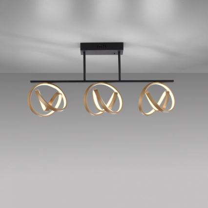 JUST LIGHT. 6245-18 - Plafonnier à intensité variable LOOP 3xLED/11W/230V 2700-5000K + télécommande