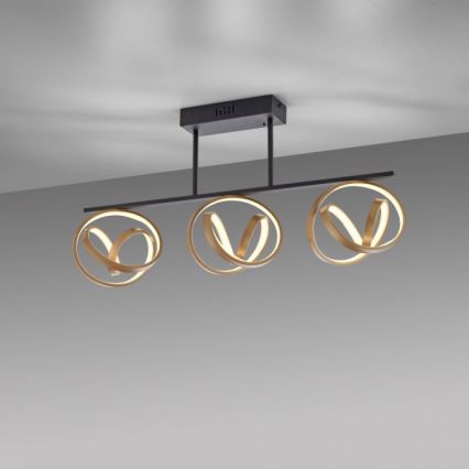 JUST LIGHT. 6245-18 - Plafonnier à intensité variable LOOP 3xLED/11W/230V 2700-5000K + télécommande