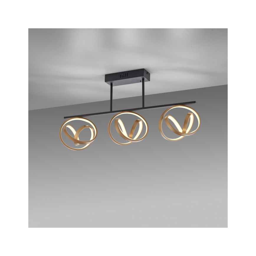 JUST LIGHT. 6245-18 - Plafonnier à intensité variable LOOP 3xLED/11W/230V 2700-5000K + télécommande
