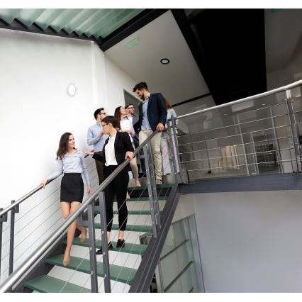 LED-Decken-/Einbauleuchte mit Bewegungssensor 2-in-1 ERGA LED/17W/230V 3000/4000/6500K schwarz