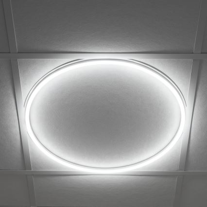 LED cornice da incasso AVAR LED/40W/230V 4000K diametro 59 cm