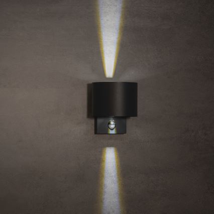 Applique murale extérieure LED dotée d'un détecteur de mouvement et d'un capteur crépusculaire REKA LED/7W/230V IP54 anthracite ronde
