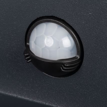 Applique murale extérieure LED dotée d'un détecteur de mouvement et d'un capteur crépusculaire REKA LED/7W/230V IP54 anthracite ronde