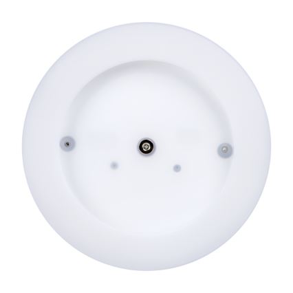 Plafoniera LED da esterno TURA LED/24W/230V 4000K IP65 nero