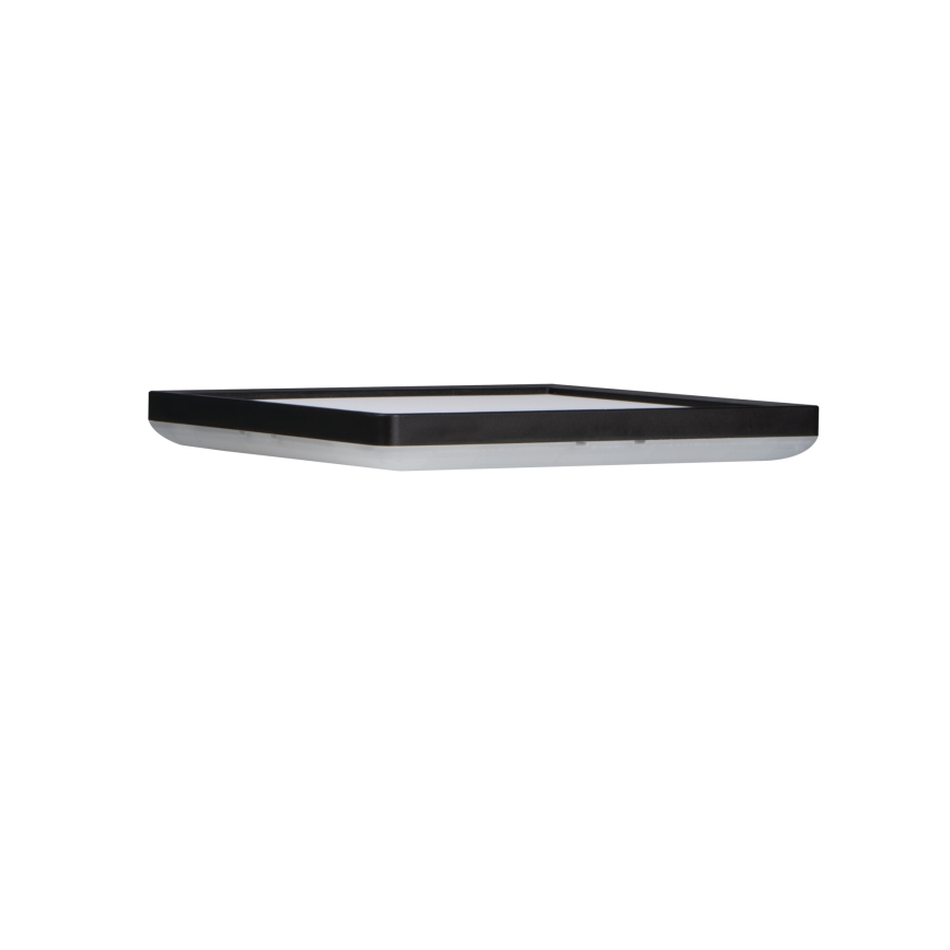 LED-Deckenleuchte für Badezimmer AZPO LED/12,3W/230V IP54 schwarz