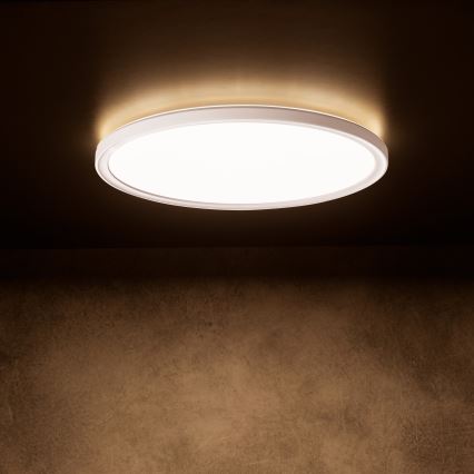 LED-Deckenleuchte AZPO LED/22W/230V 3000/4000/6000K Ø 42 cm IP54 weiß