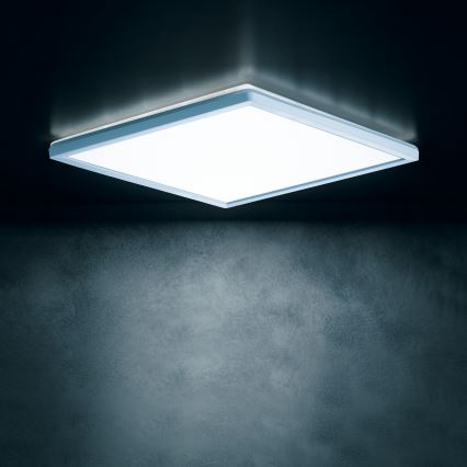 Plafoniera LED AZPO LED/12,3W/230V 3000/4000/6000K 22,5x22,5 cm IP54 bianca