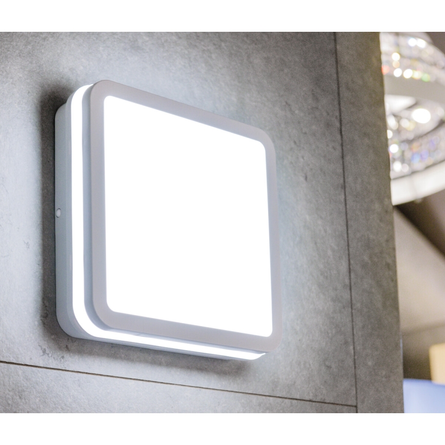 Plafoniera LED da esterno BENO LED/18W/230V 4000K bianca IP54